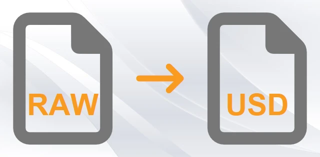 Convert RAW to USD